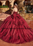 Feathers Appliques Charming Quinceanera Dress