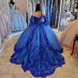Royal Blue Lace Quinceañera Dress
