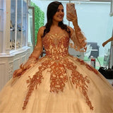 Quinceañera Dress with Detachable Sleeves
