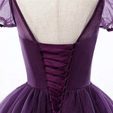 Short Sleeve Tulle Formal Gown