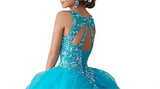 Long Princess Dress with Applique