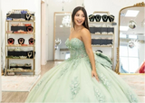3D Flowers Beading Appliques Bow Quinceanera Dress