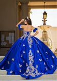 Butterfly Applique Beaded Sweet 16 Quinceanera Ball Gown