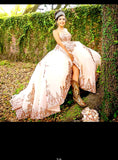 Quinceañera Dress with Detachable Sleeves