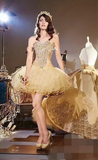 Elegant Gold Applique Ball Gown Dresses