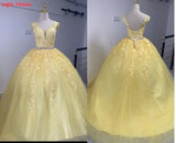 Lace Classic V-neck Elegant  Princess A-Line Wedding Dress SET ONE