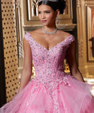 3D Floral Applique Bow Beading Ruffles Quinceanera  Dress