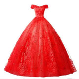 Lace Ball Gown Shinny Sequin Prom, Birthday, Quinceanera  Dress