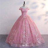 Lace Ball Gown Shinny Sequin Prom, Birthday, Quinceanera  Dress