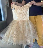 Lace Ball Gown Shinny Sequin Prom, Birthday, Quinceanera  Dress