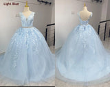 Lace Classic V-neck Elegant  Princess A-Line Wedding Dress SET ONE