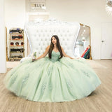 3D Flowers Beading Appliques Bow Quinceanera Dress