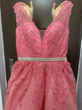 Lace Classic V-neck Elegant  Princess A-Line Wedding Dress SET TWO