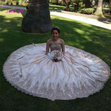 Gold Lace Sweet 15  Quinceanera  Gown